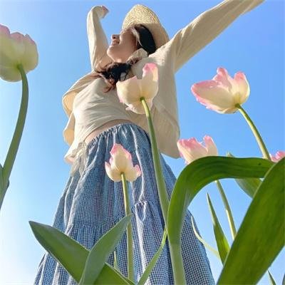 被炉、蜜桔和小猫